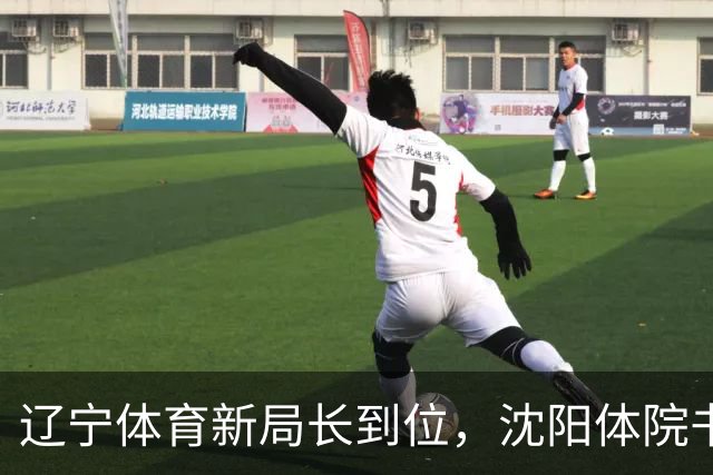 辽宁体育新局长到位，沈阳体院书记接棒，能否重振“辽老大”雄风？